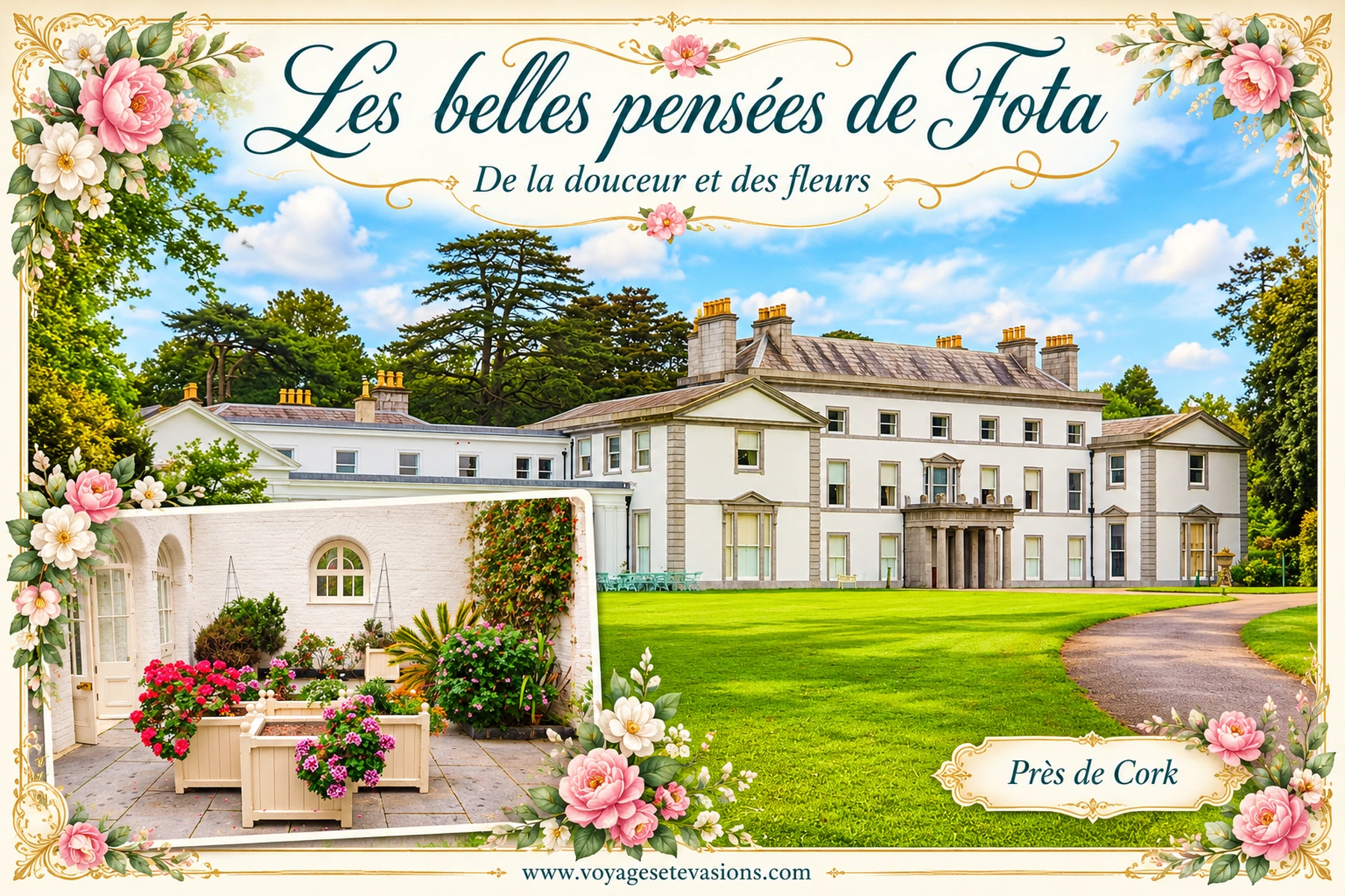 Les belles pensées de Fota