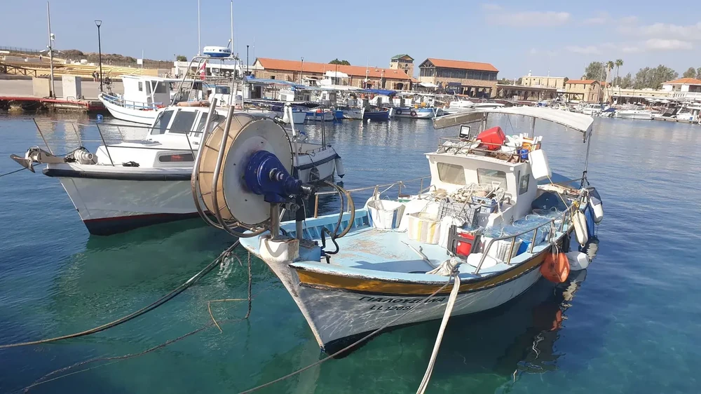 Port de Paphos, Paphos