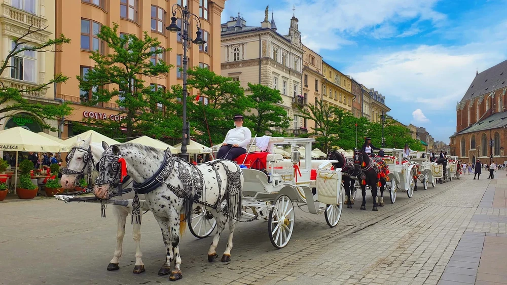 Place du Marché, Cracovie