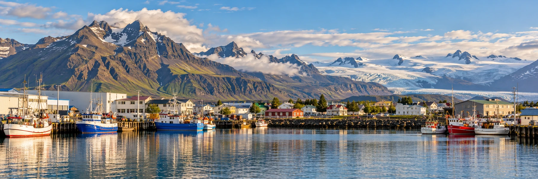 Illustration panoramique de Höfn