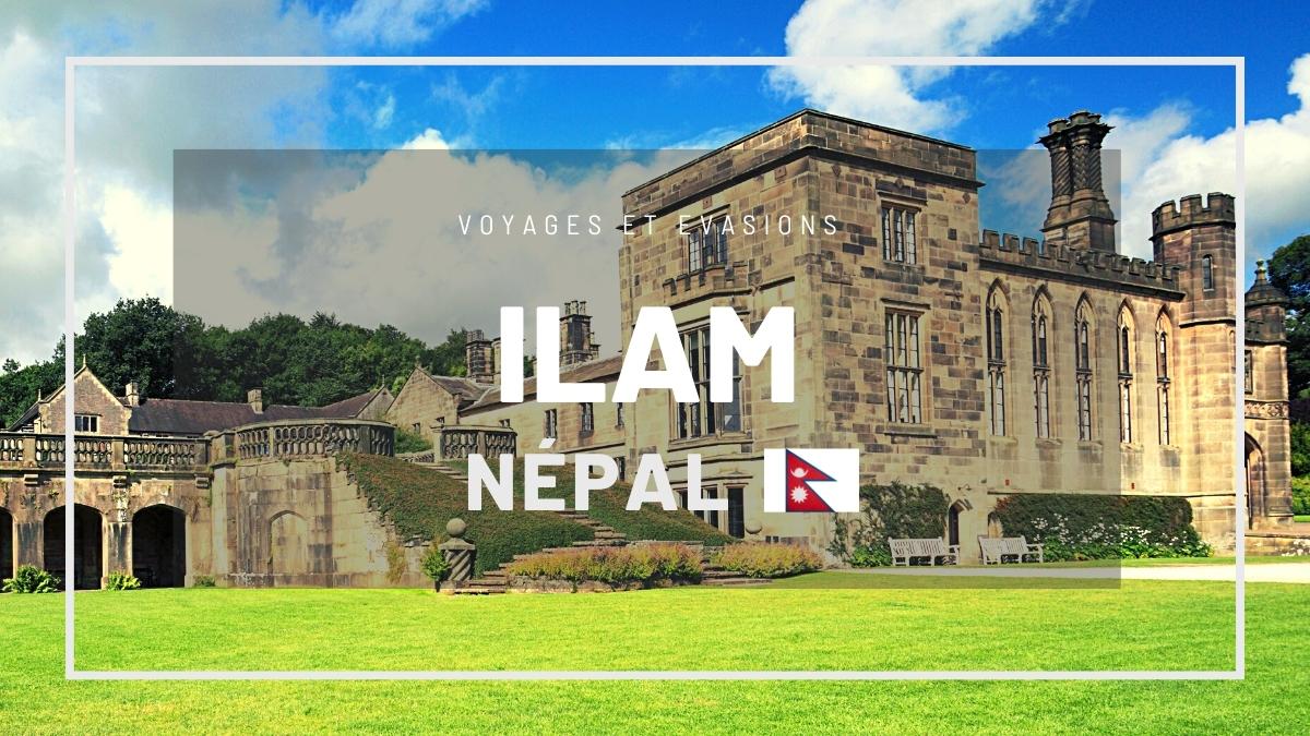 Ilam au Népal