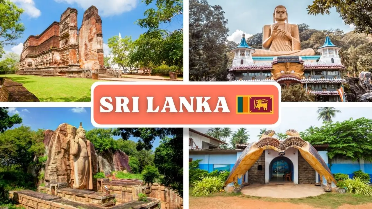 Sri Lanka entre plantations de thÃ©, temples, plages et train panoramique