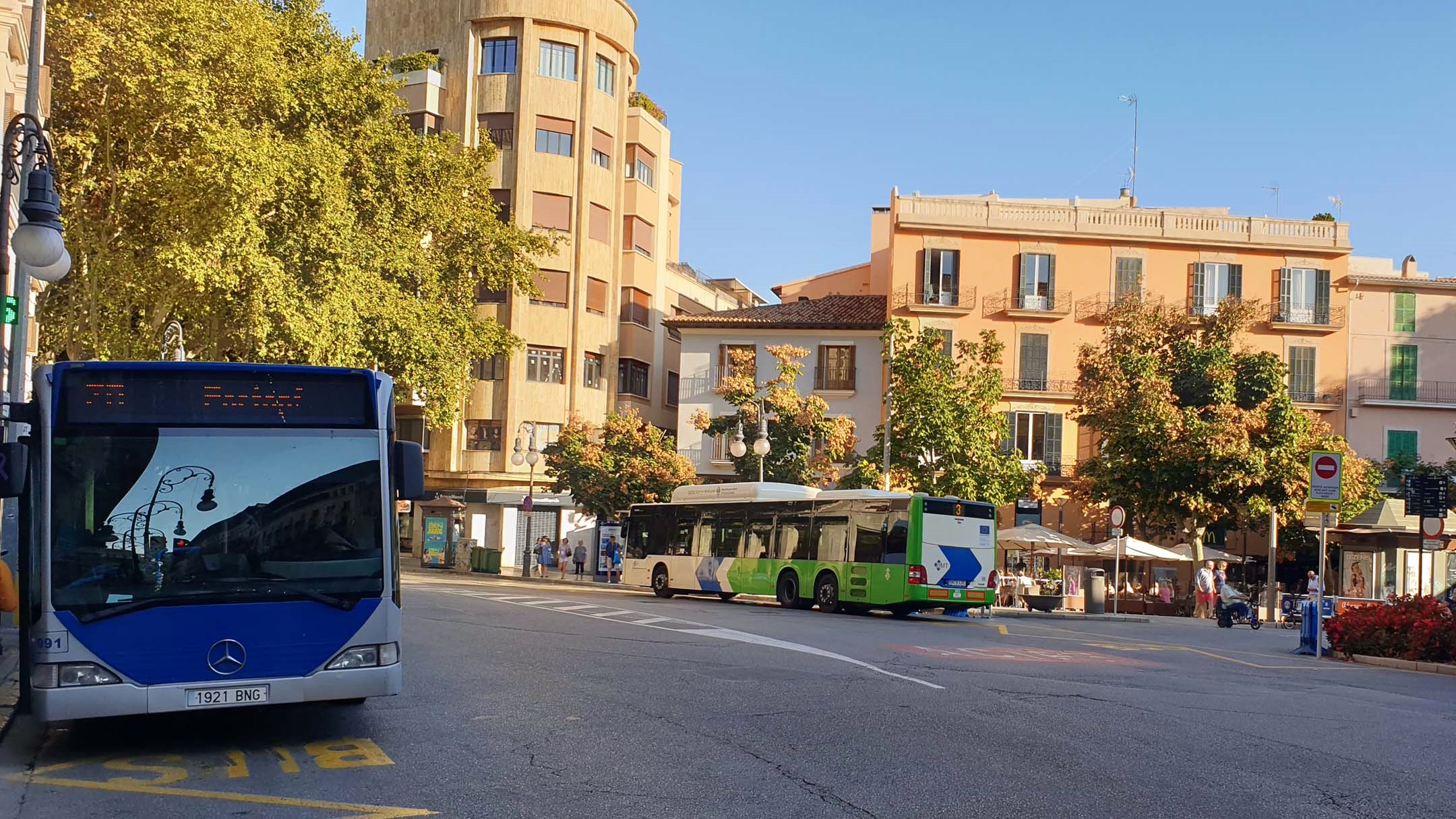 Bus de Palma