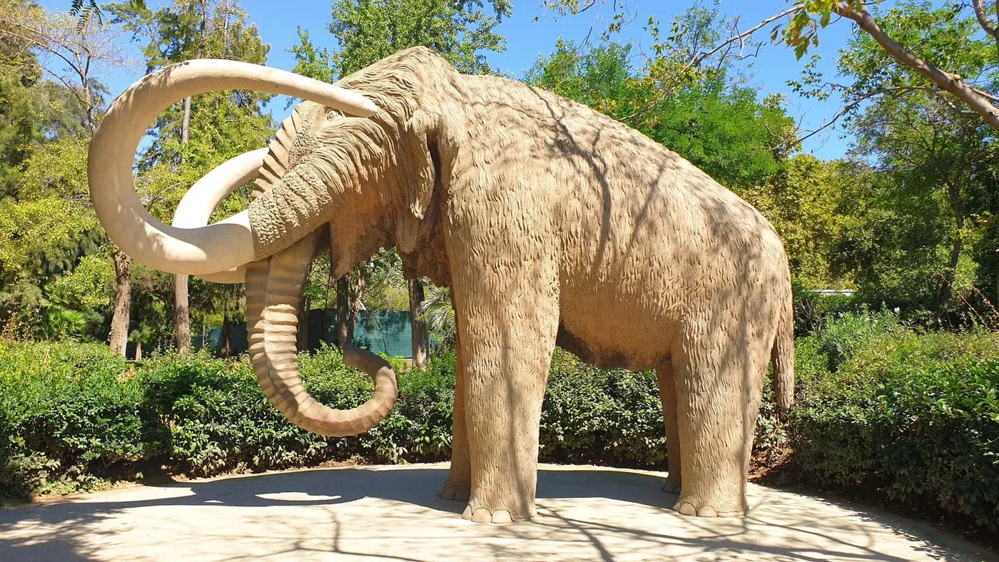 Mamut à Barcelone, Espagne