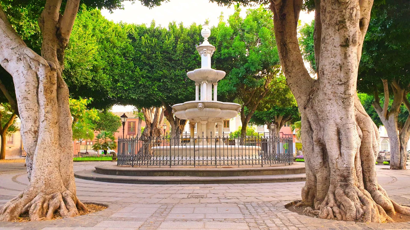 Plaza del Adelantado — La Laguna
