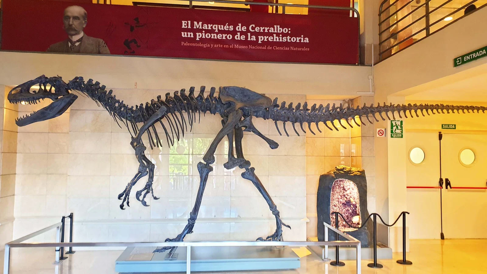 Musée national des Sciences naturelles — Madrid