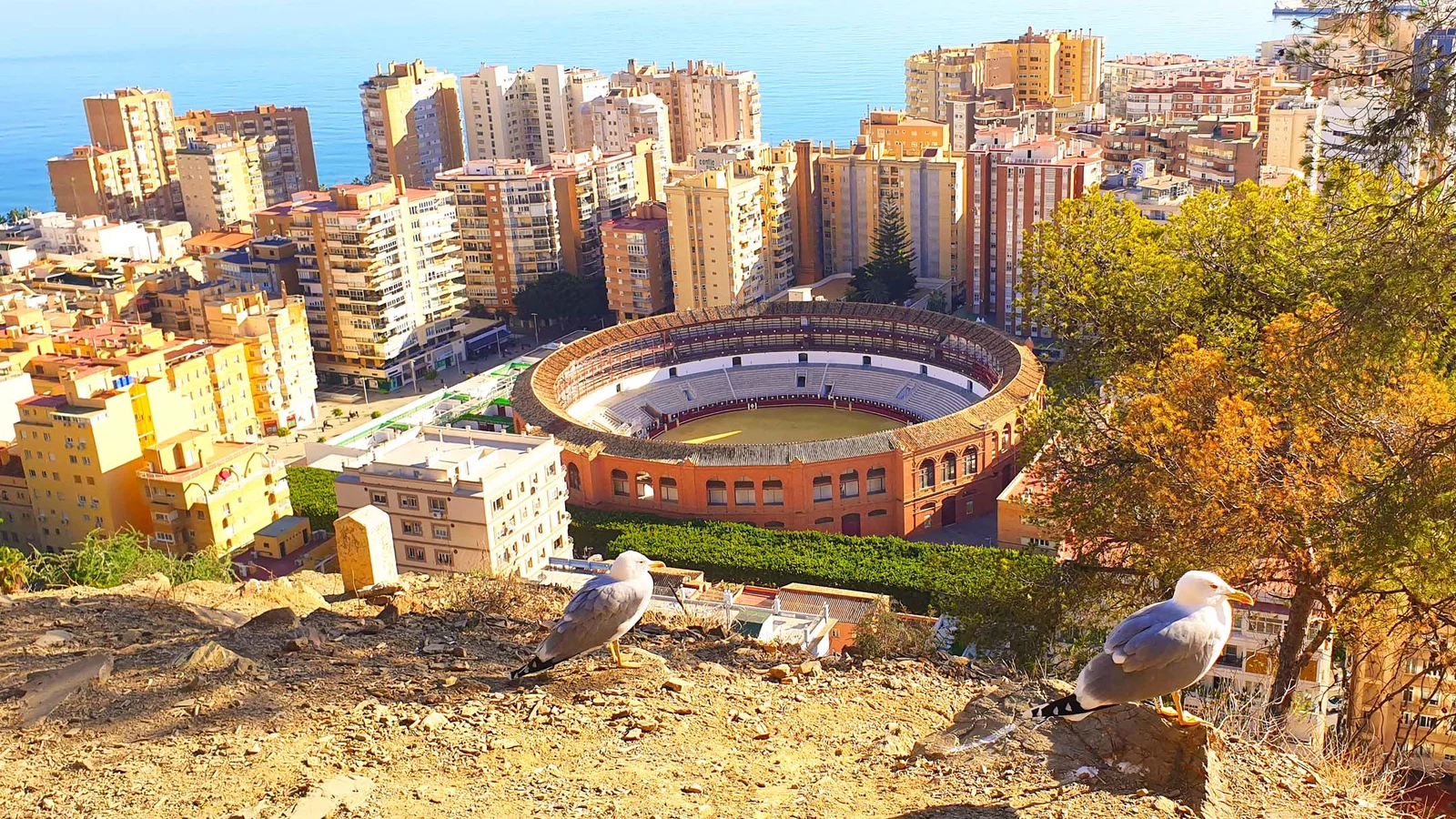 Arènes de La Malagueta — Malaga