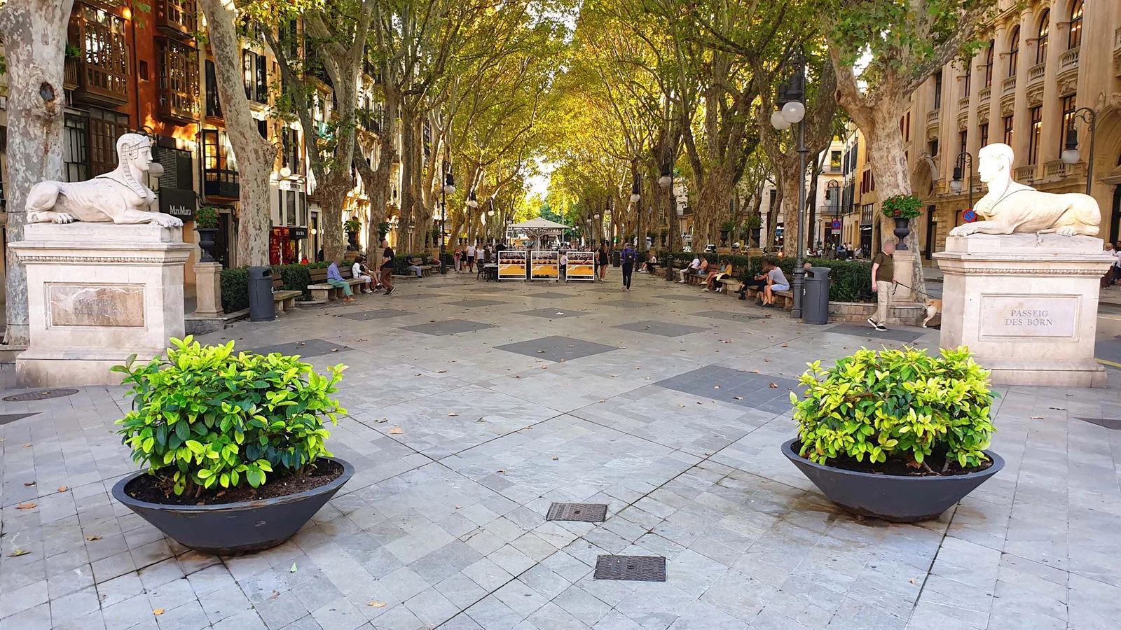 Passeig del Born — Palma de Majorque