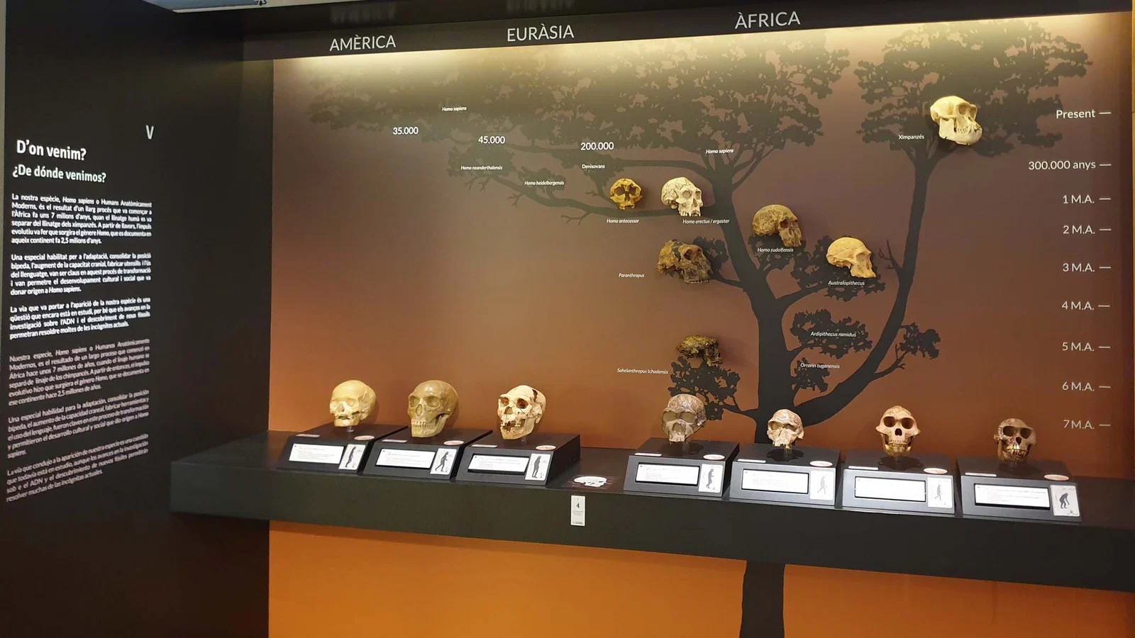 Museo de Prehistoria de Valencia — Valence