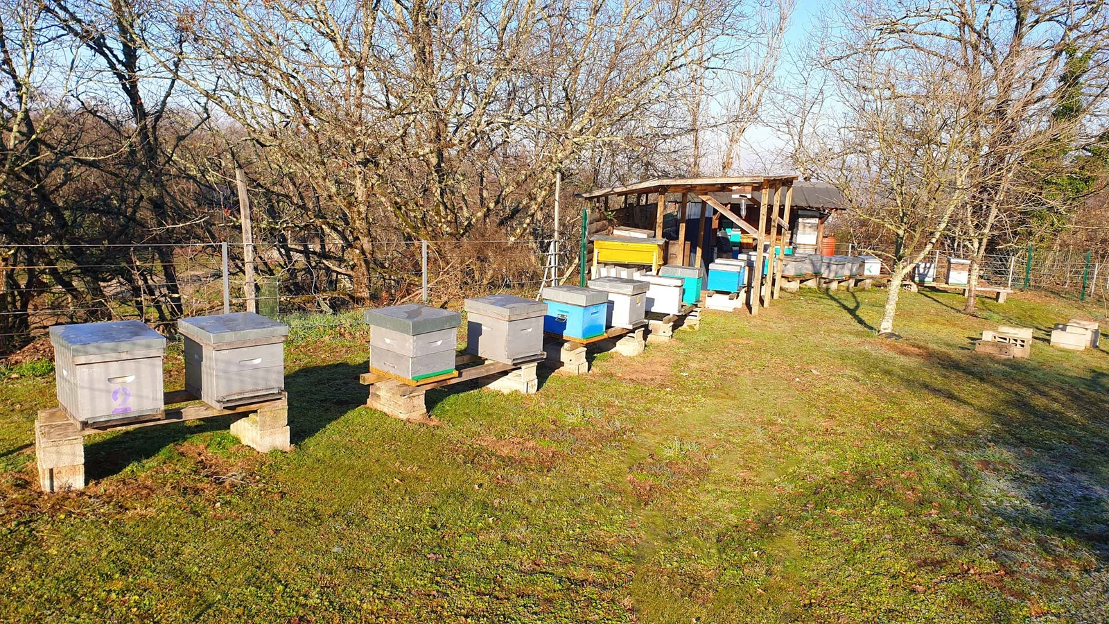 L'Abeille Corrézienne — Brive-la-Gaillarde