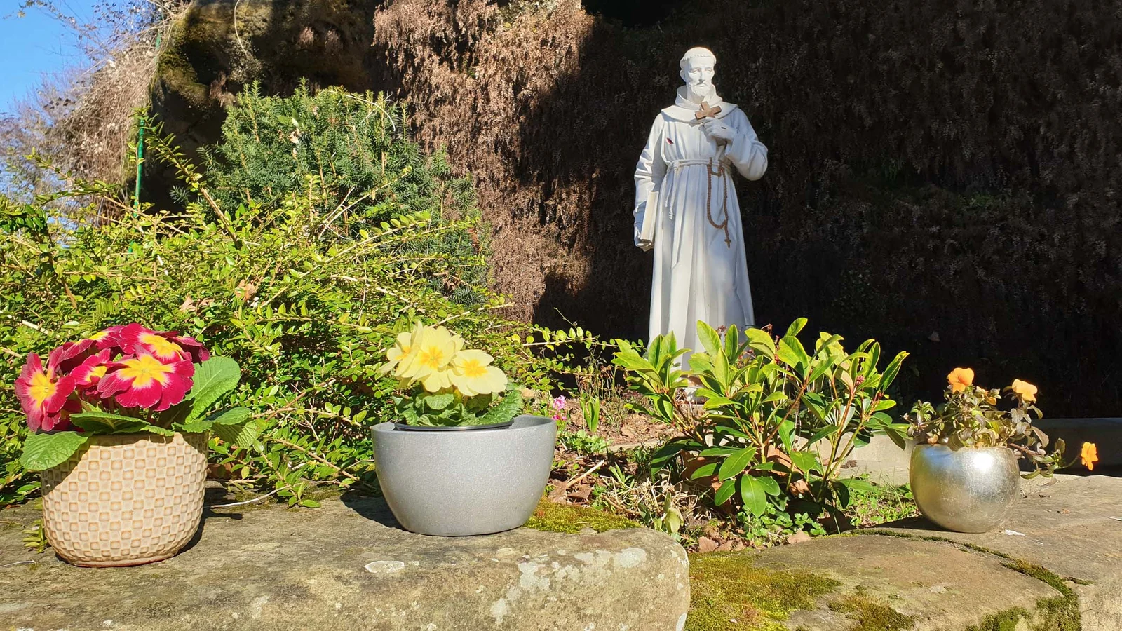 Saint François D'Assise — Brive-la-Gaillarde