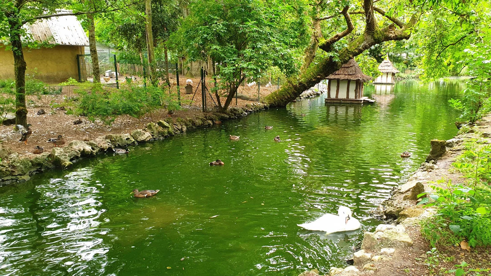 Parc animalier Charles-Édouard Beltremieux — La Rochelle