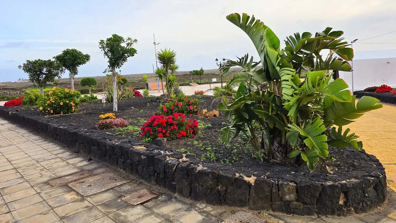 Jardin du Paradis en fleurs — El Cotillo