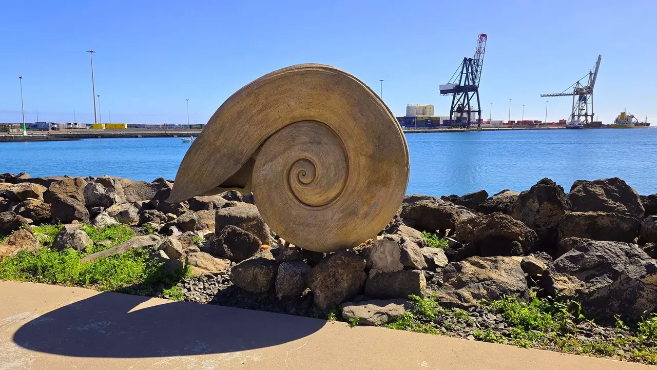 Coquillages — Puerto del Rosario