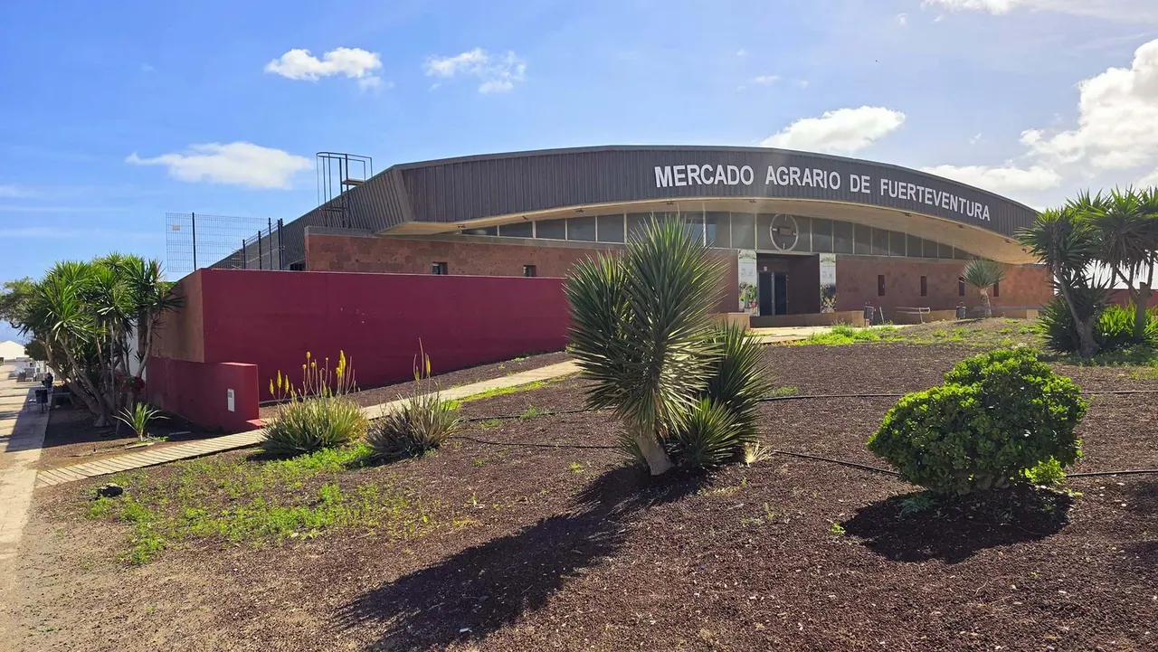 Marché agricole de Fuerteventura — Puerto del Rosario
