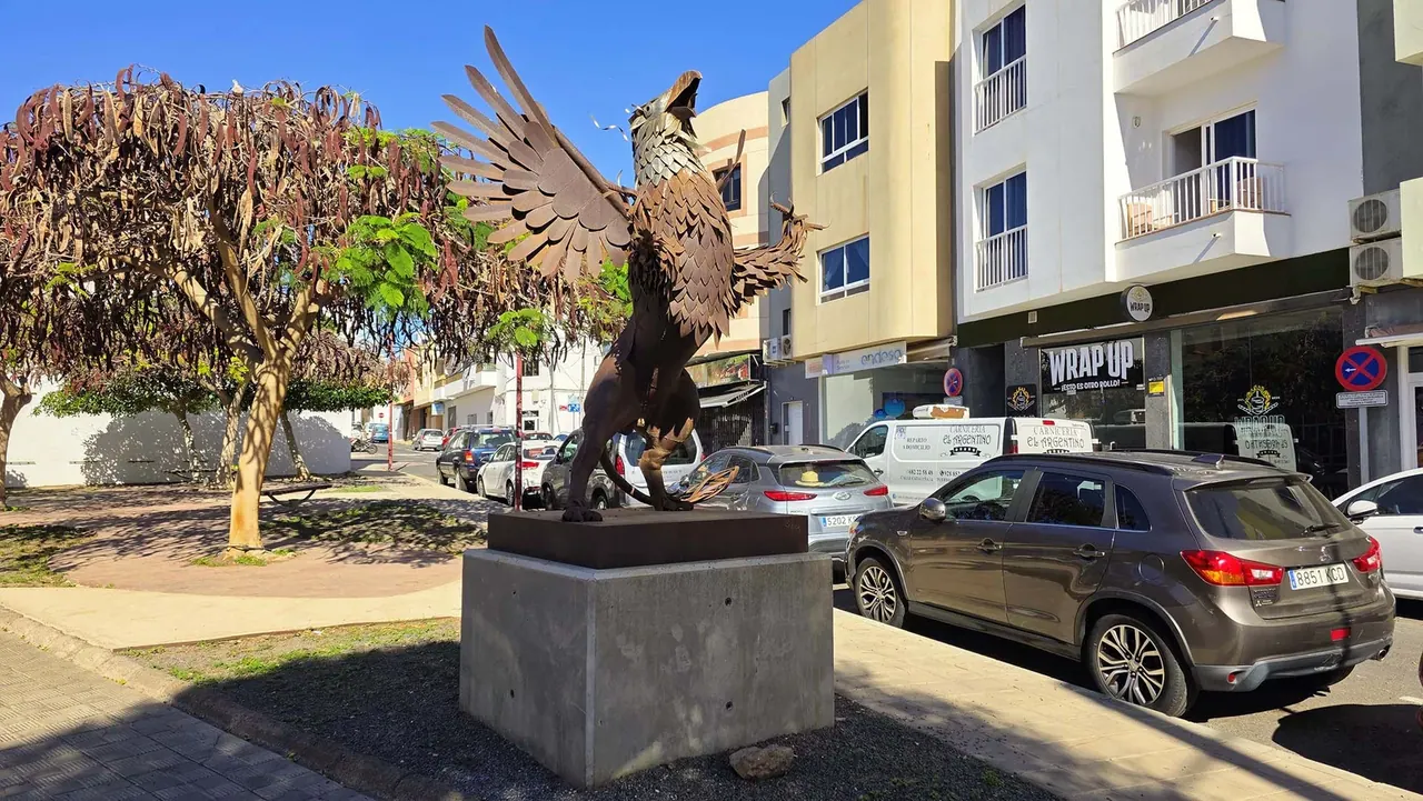 Oiseau de feu — Puerto del Rosario