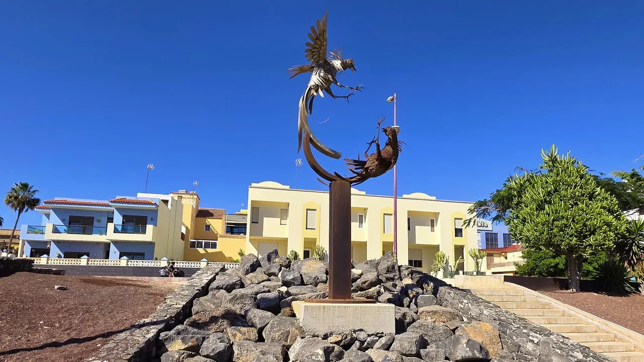 Combat de coqs — Puerto del Rosario