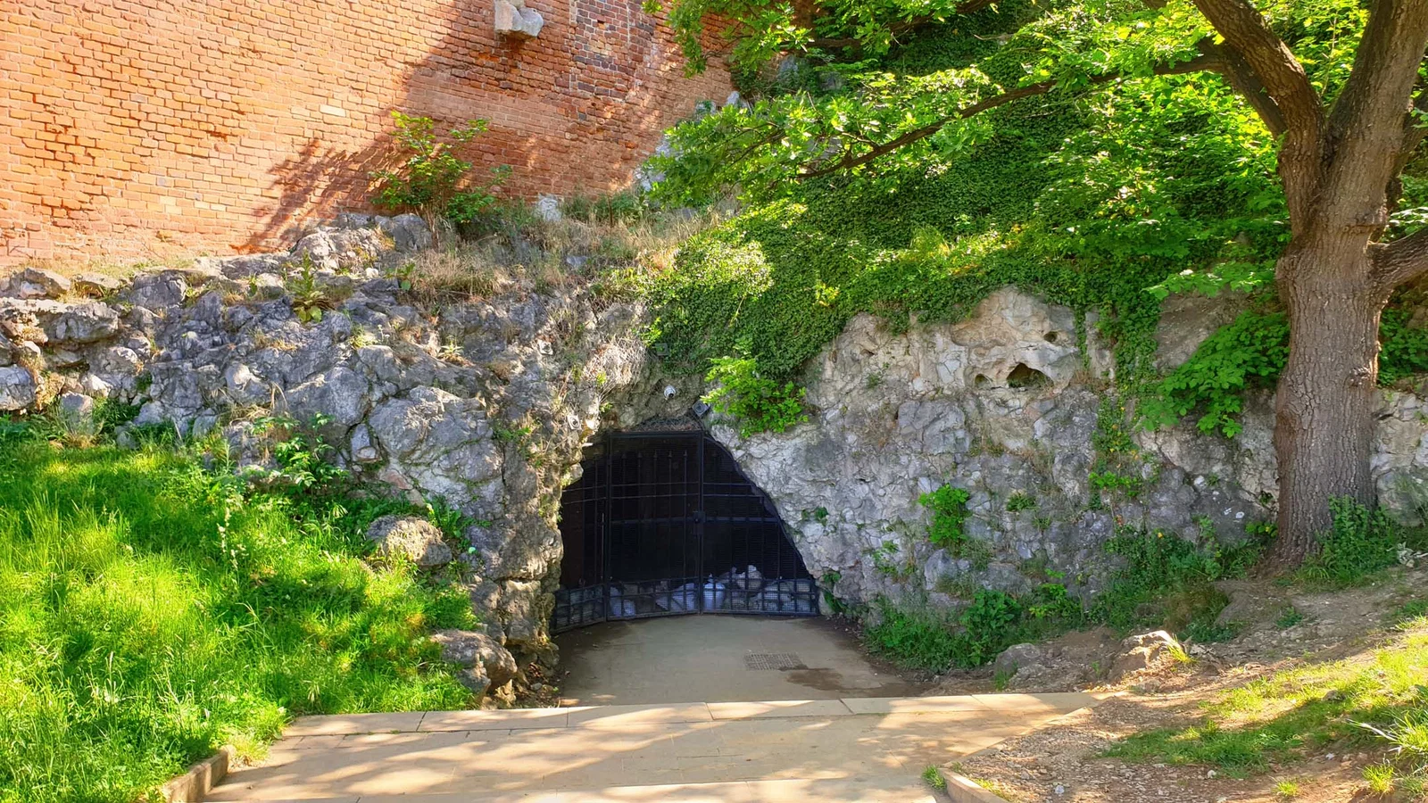 Grotte du Dragon — Cracovie