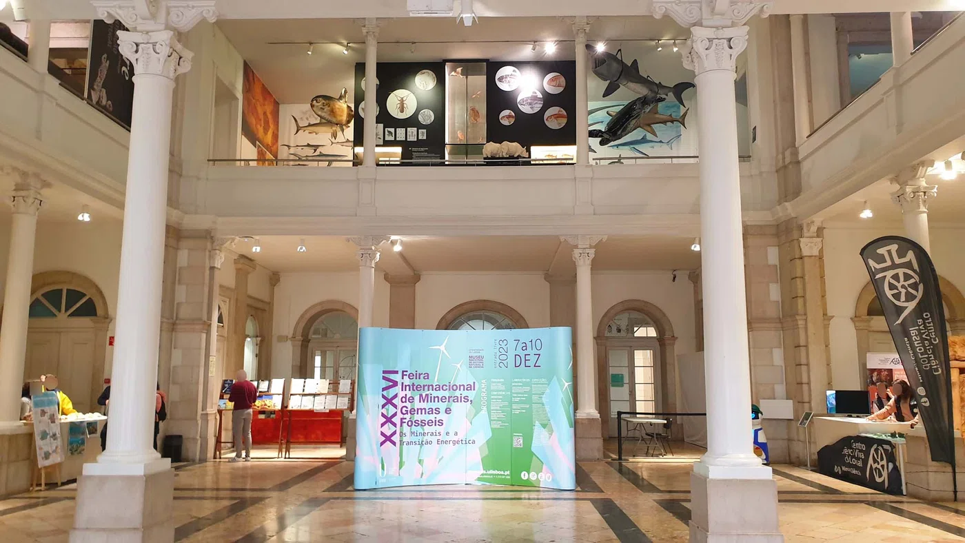 Musée national d’Histoire naturelle et des Sciences — Lisbonne