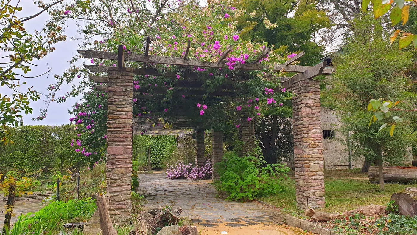 Jardin botanique de Porto — Porto