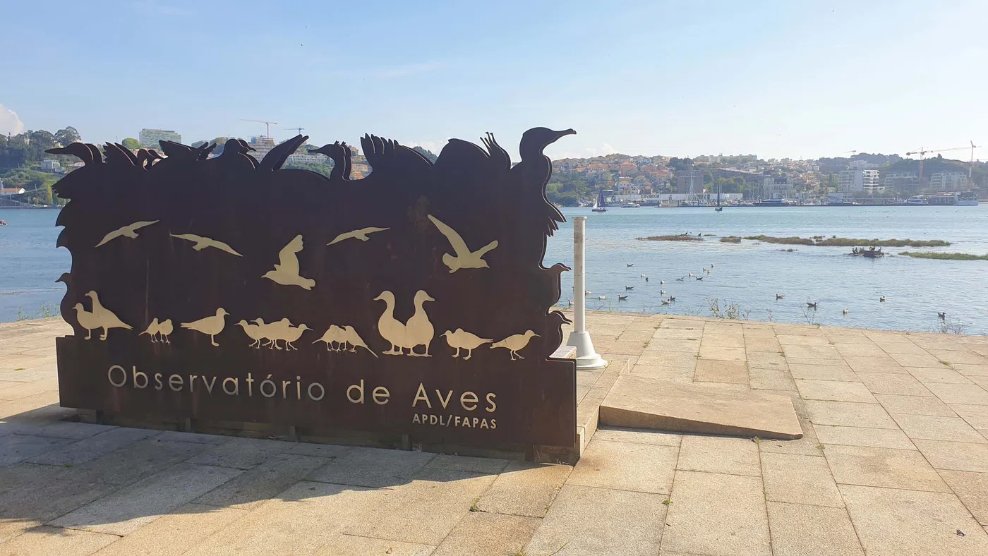 Observatório das Aves — Porto
