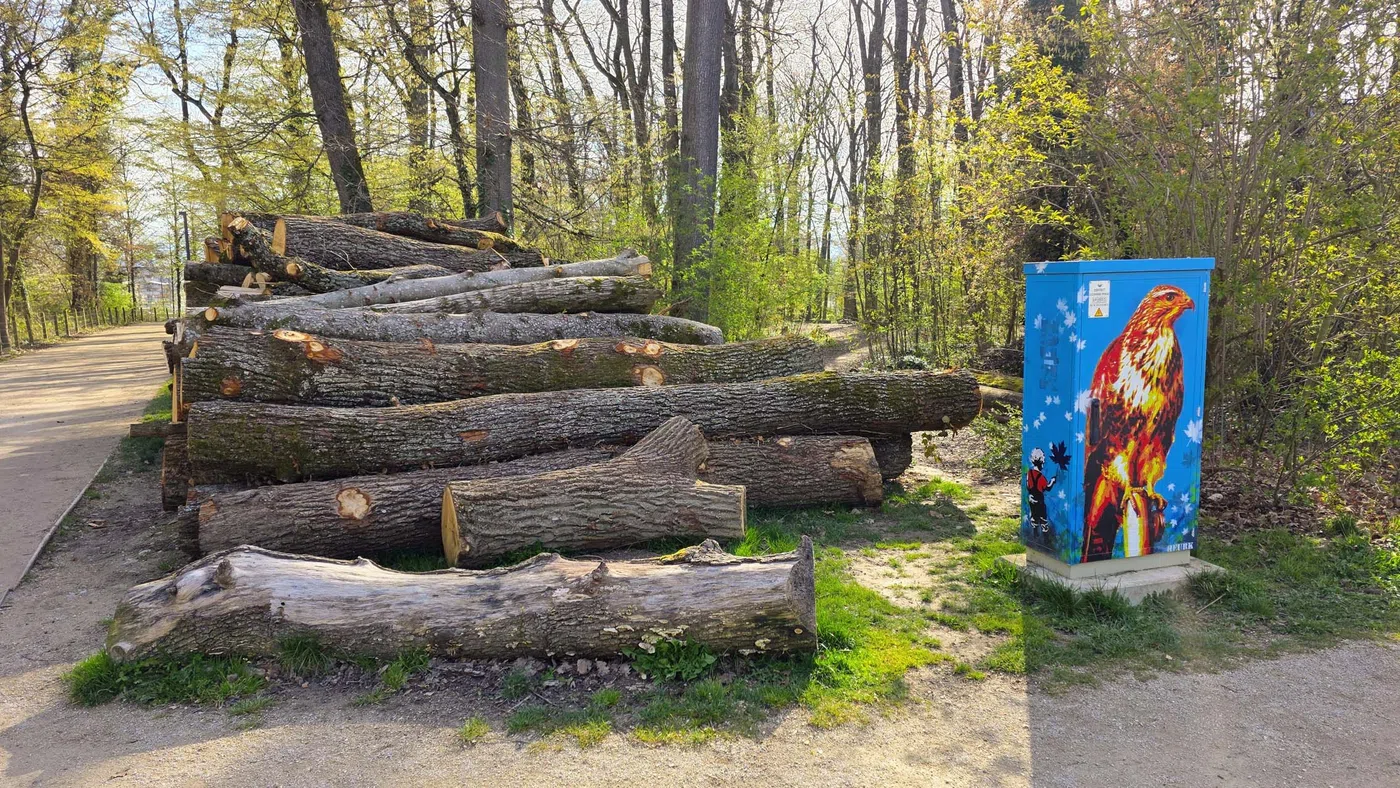 Bois de la Bâtie — Genève