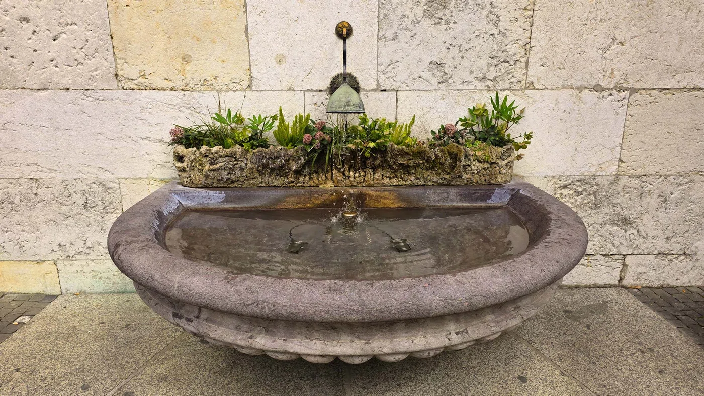 Fontaine de la Treille — Genève