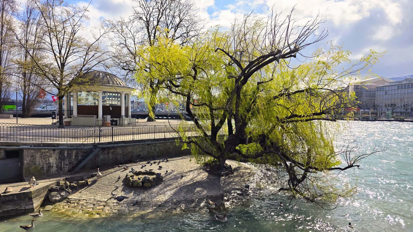 Île Jean-Jacques Rousseau — Genève