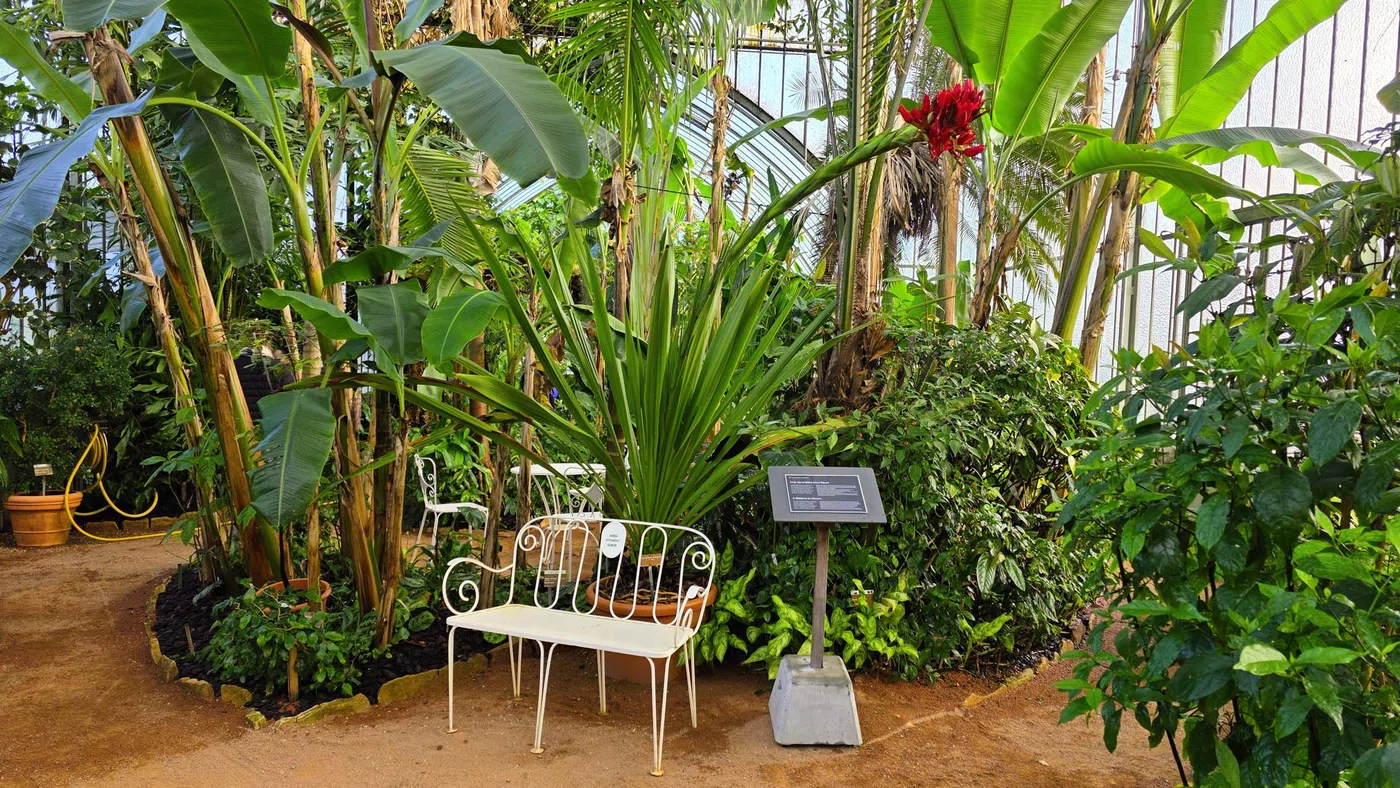 Jardin d'hiver — Genève