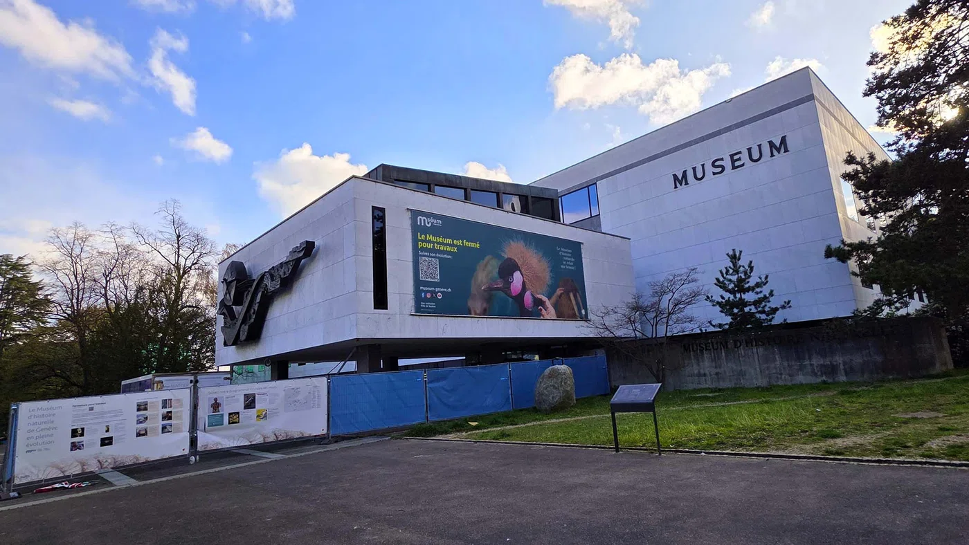 Muséum d'Histoire Naturelle — Genève