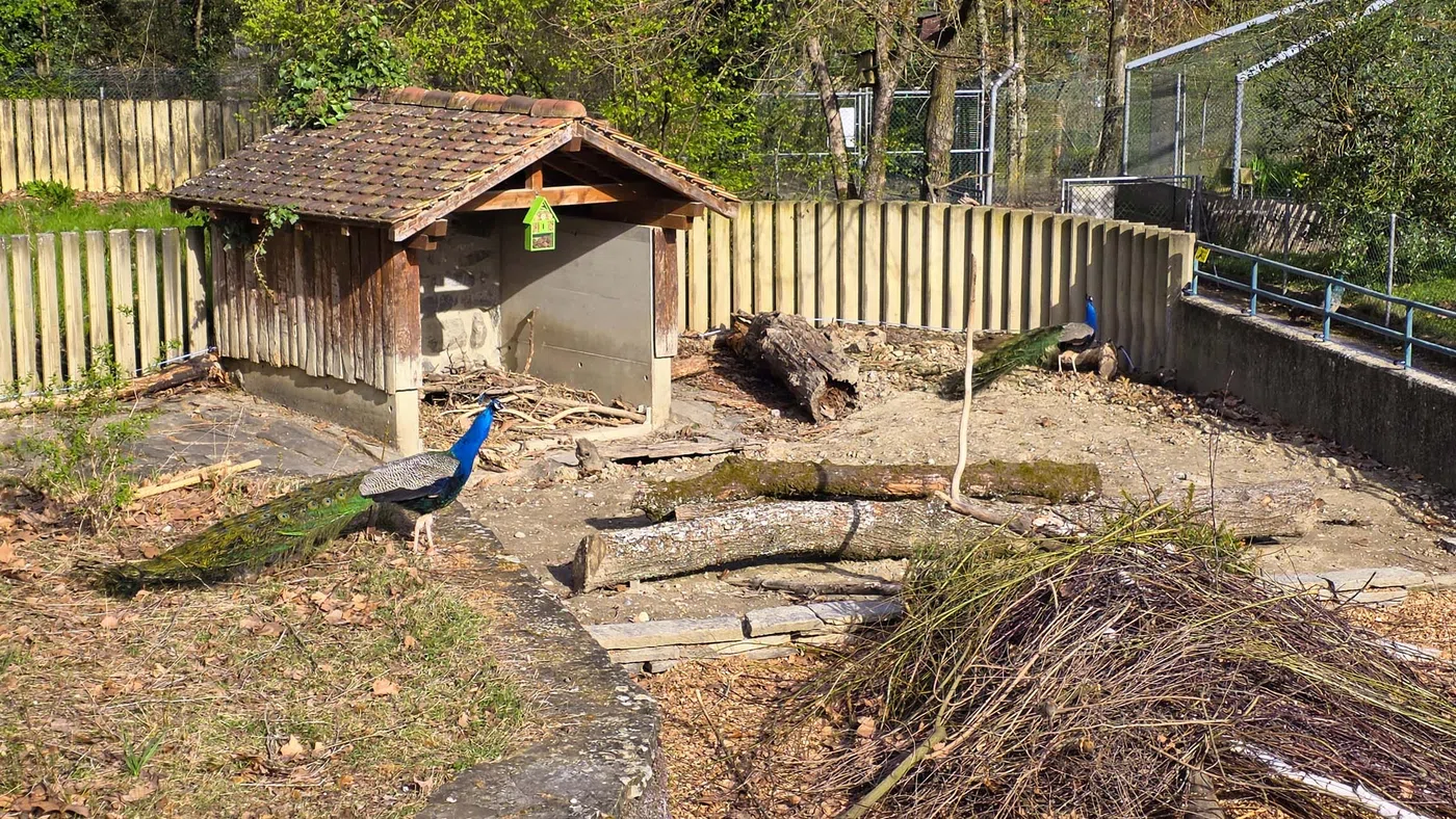 Parc aux animaux du Bois-de-la-Bâtie — Genève